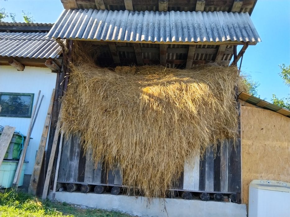 Vând baloți otavă amestecați cu fân și fân cosit