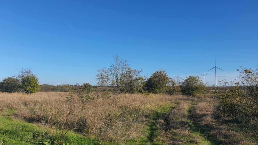 Нива 1 дка с. Горун на 200м от международен път Варна - Дуранкулак.