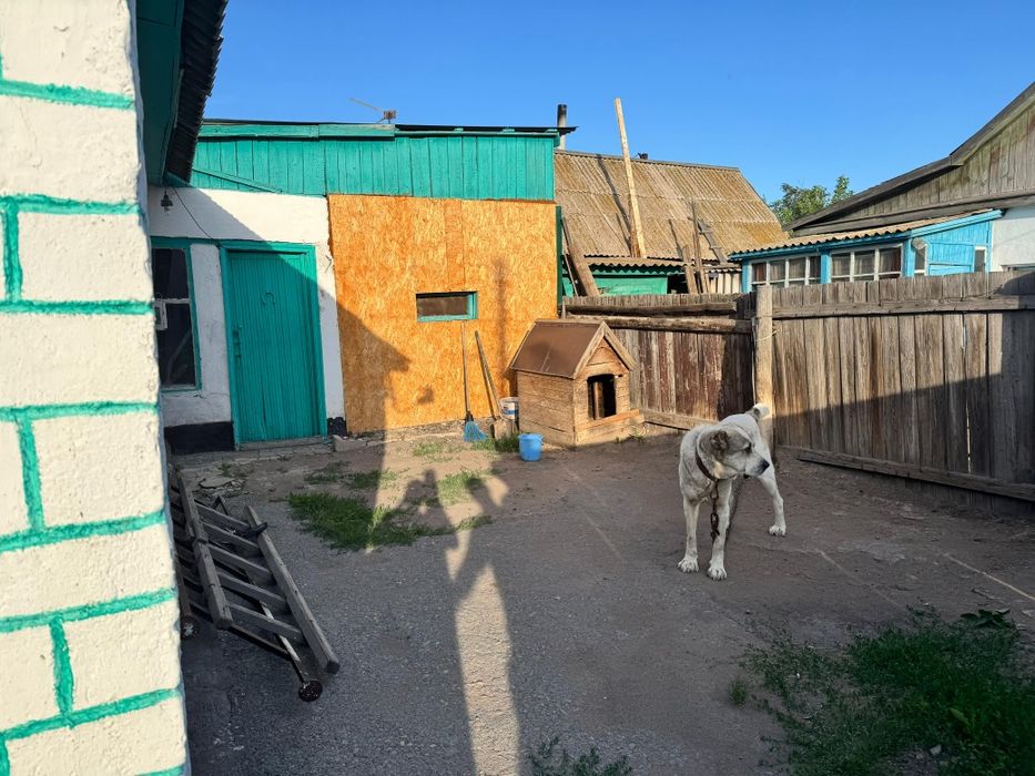 Продам дом в районе Голд Стар