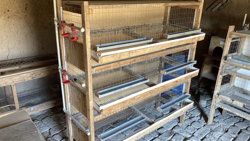 Бодене Клеткасы.     .