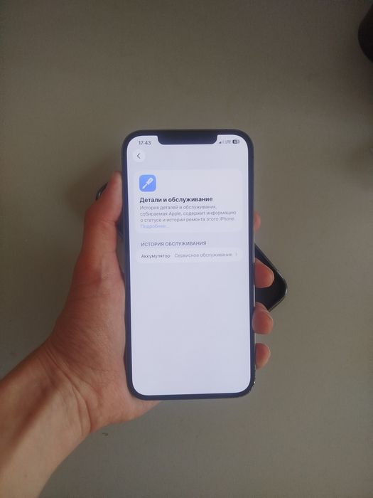 Iphone 12 Pro max 256 Dual Sim