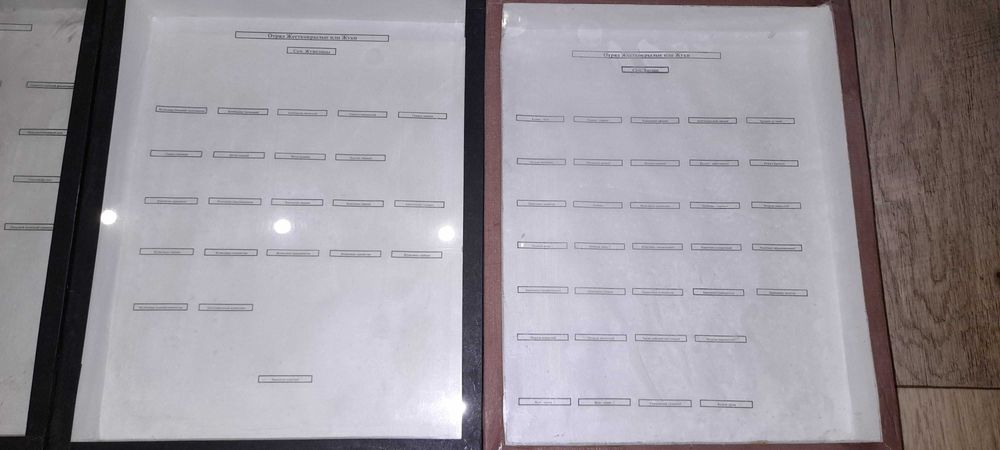 Продам энтомологические коробки