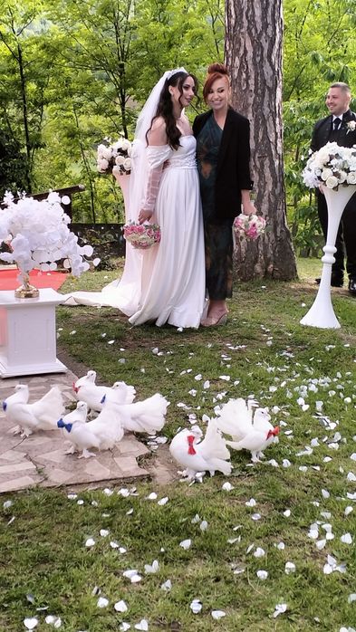 Porumbei albi Evenimente