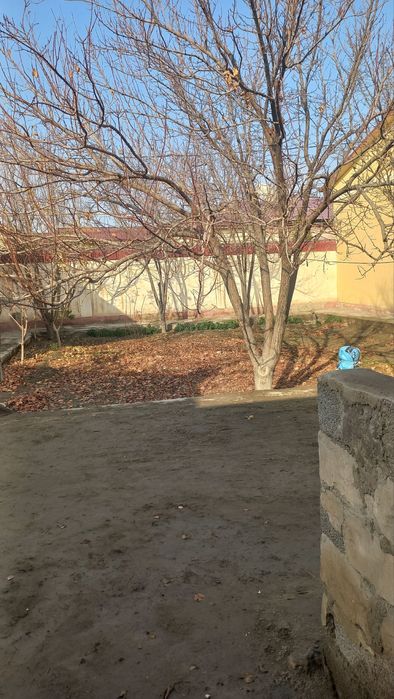 6-sotixli Udurgʻi massiv. Yangi oʻzbekiston bogʻi  yaqinida joylashgan