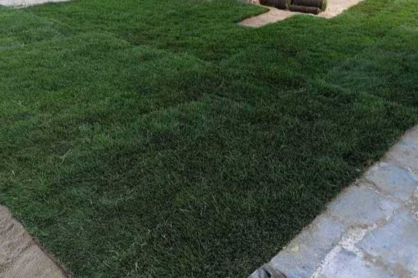 Gazon Rulouri Sisteme de Irigatie