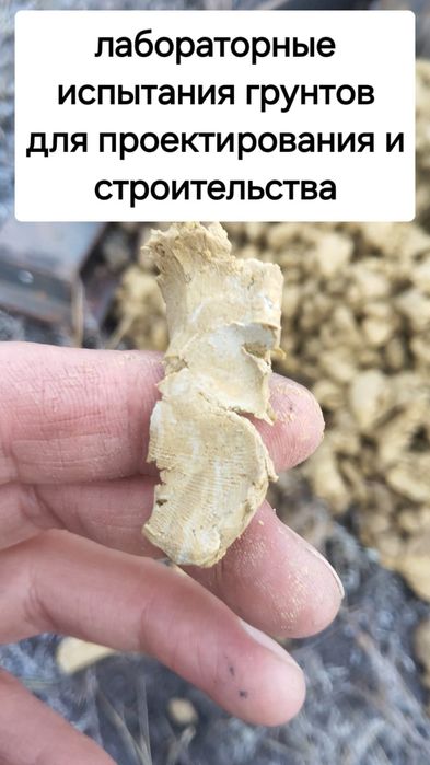 Геодезия,топосъемка, исполнительная съёмка, геология