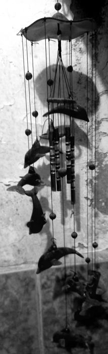 Suviner | osib qo'yish uchun maxsus | delfin | kafolat bor 100% |