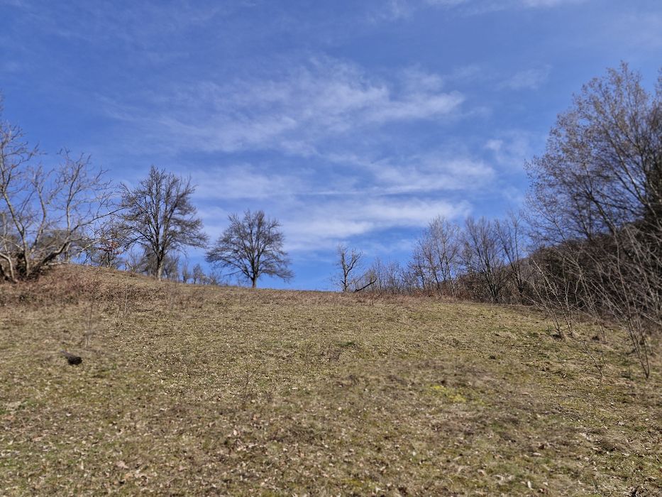 Casa de vanzare la deal