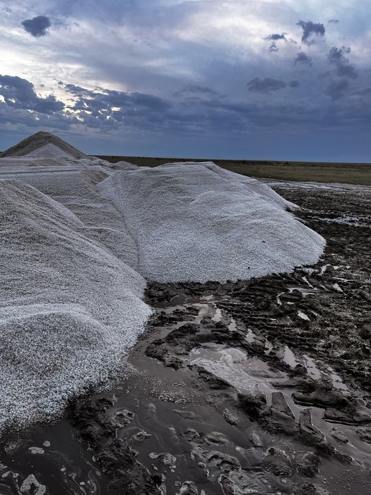 Соль кормовая техническая