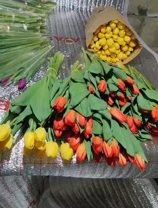 Тюльпаны в розницу