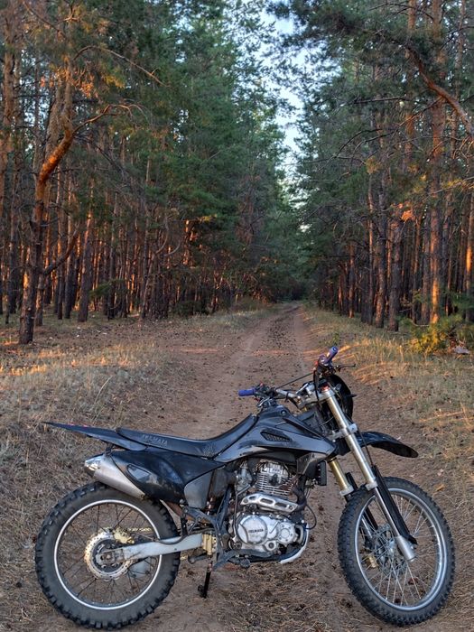 Jelmaia m21,300сс