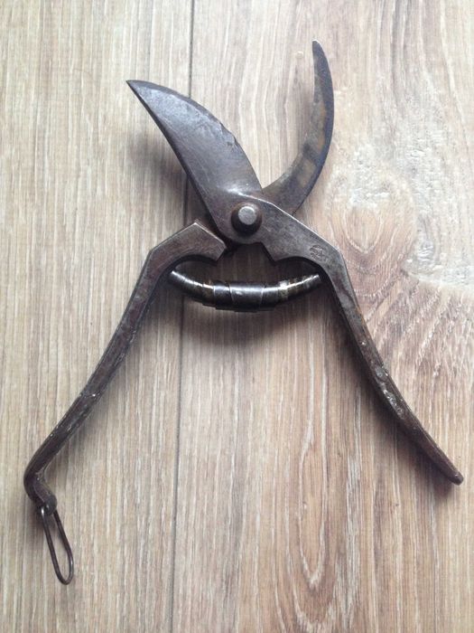 Лозарски ножици Solingen Meister Велико Търново Солинген