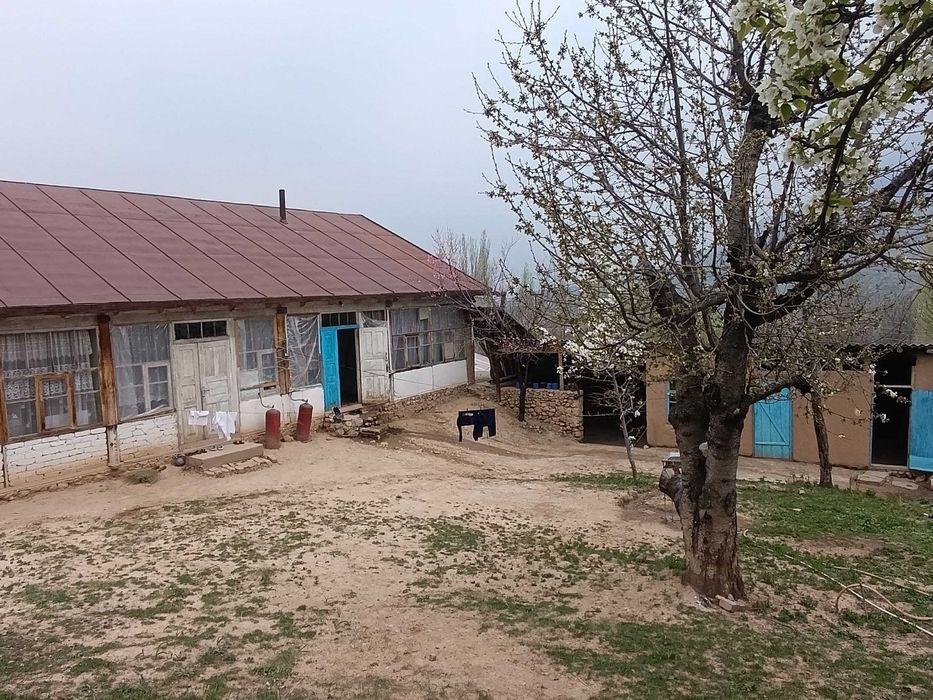 Дача на сельском участке