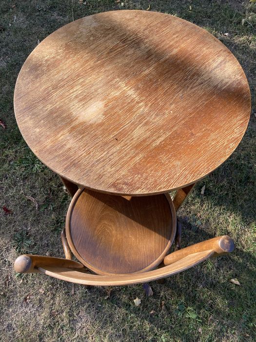 Masa si scaun thonet