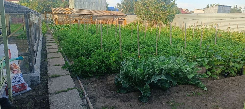 Дом Красный партизан