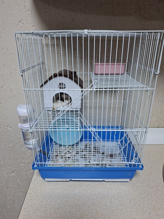 Продам хомячка Джунгарик