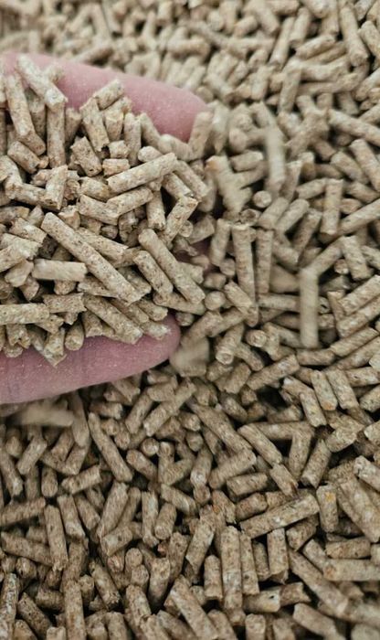 Furaj proteic pentru animale (Porci/Pasari)