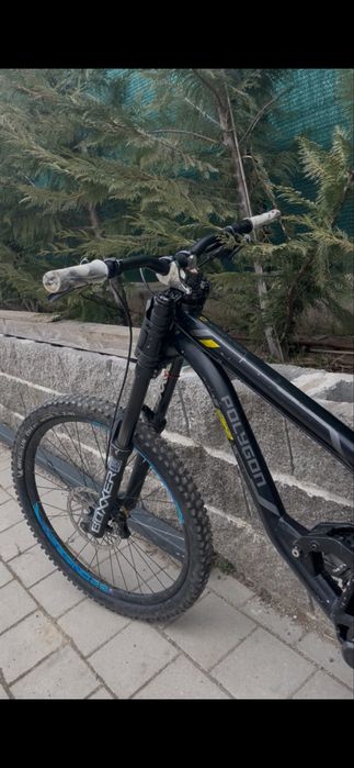 Polygon Collosus DHX