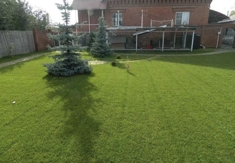 Стильный газон под ключ
