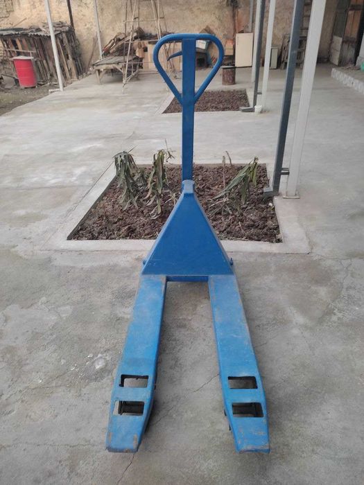 Кара ручной. Kara ruchnoy.