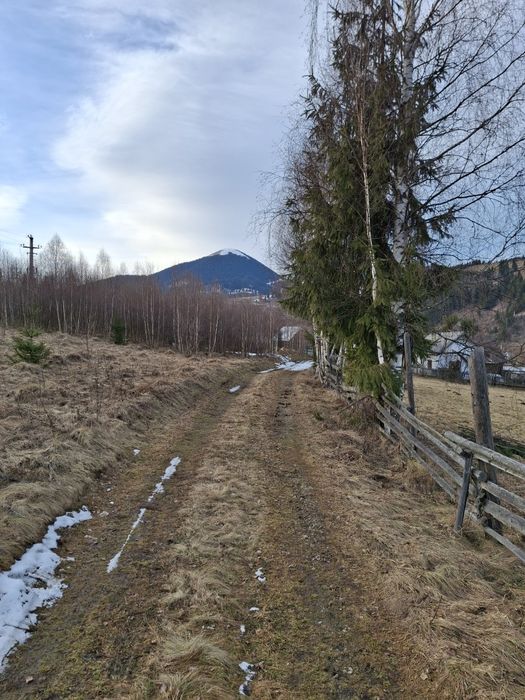 Teren Vatra Dornei (strada Rosu)