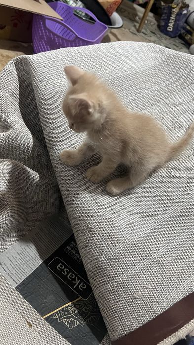 Все мальчики,3 месяца