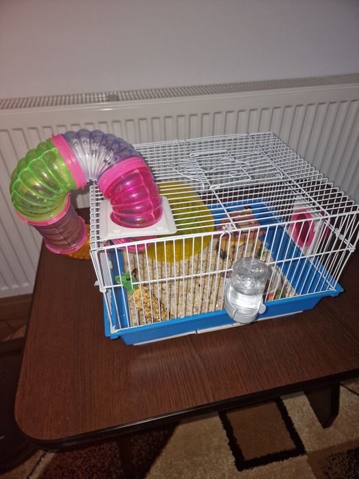 Hamster+ cusca si accesorii