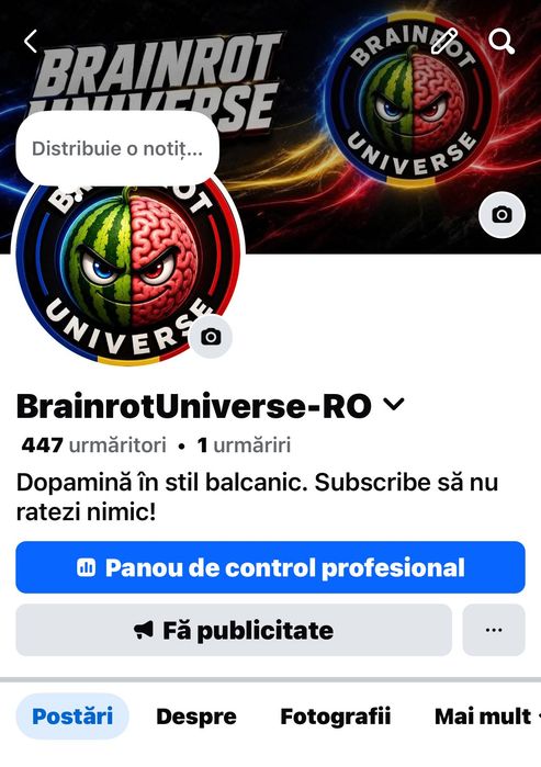 Canal YouTube 3000 de Abonați activi