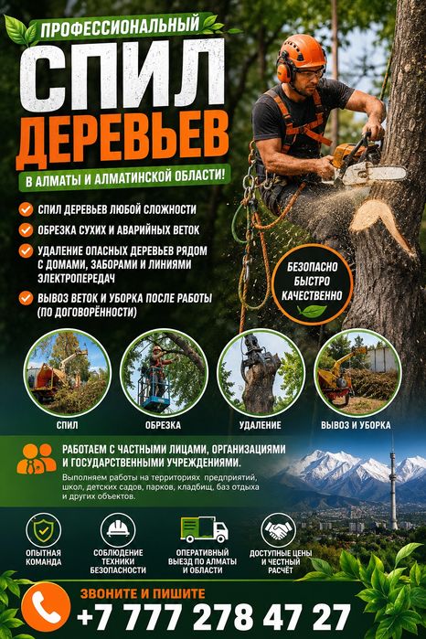 Вырубка леса,расчистка территории.