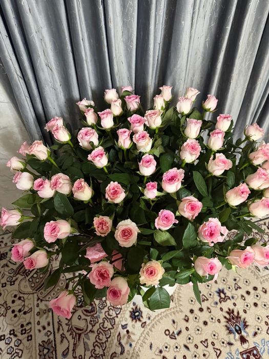 Цветы бүгін келді срочно сатылады