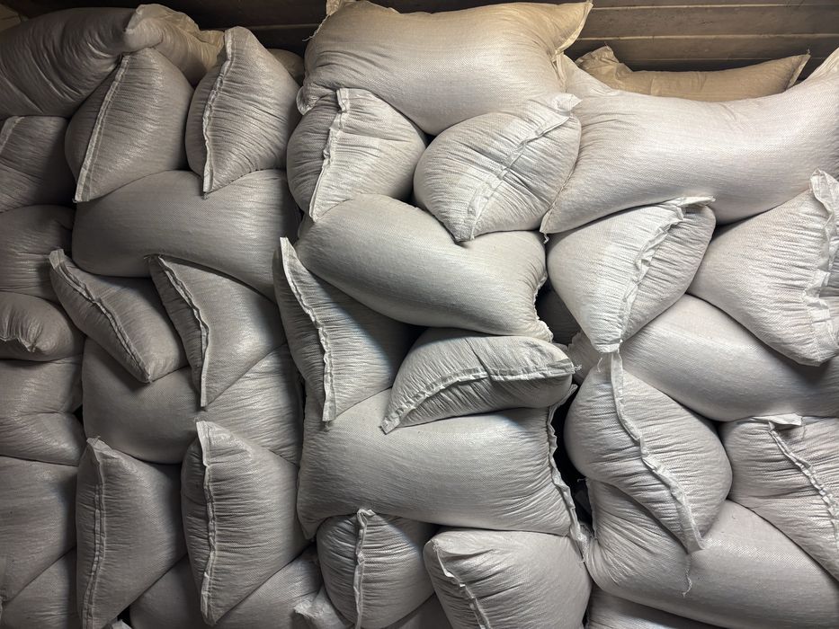 Porumb, ambalat la sac de 40 kg