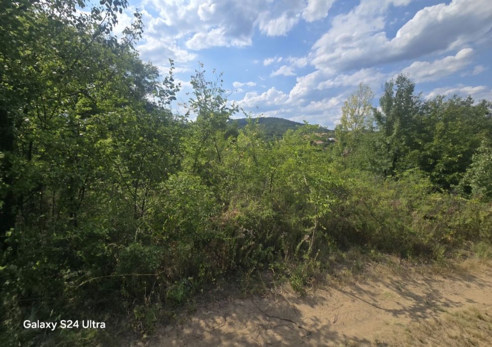 Продава се Парцел в Белово - 800 кв.м за 20 €/кв.м - Снимка #4