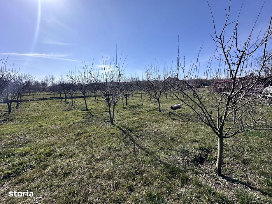 Teren intravilan deschidere 25 m