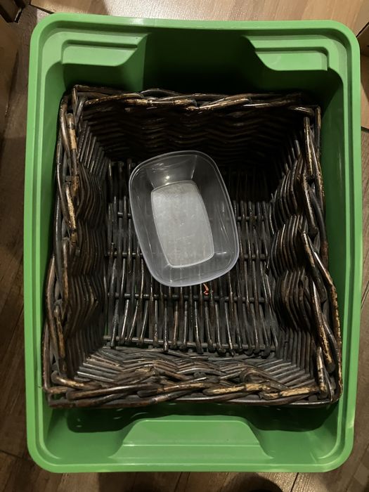 Cutii, tavi, cosulete