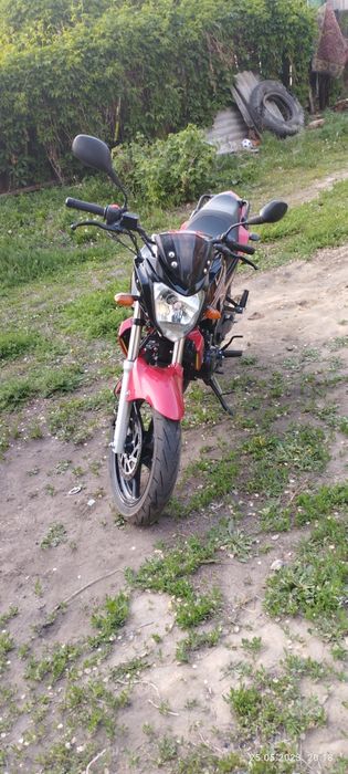 RACER nitro 250 продам