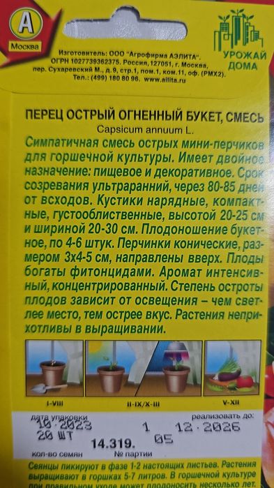 Комнатный перец.