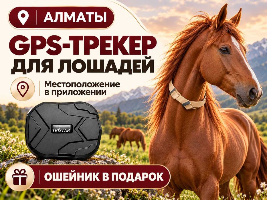 GPS трекер для лошадей. Жпс жылқыға