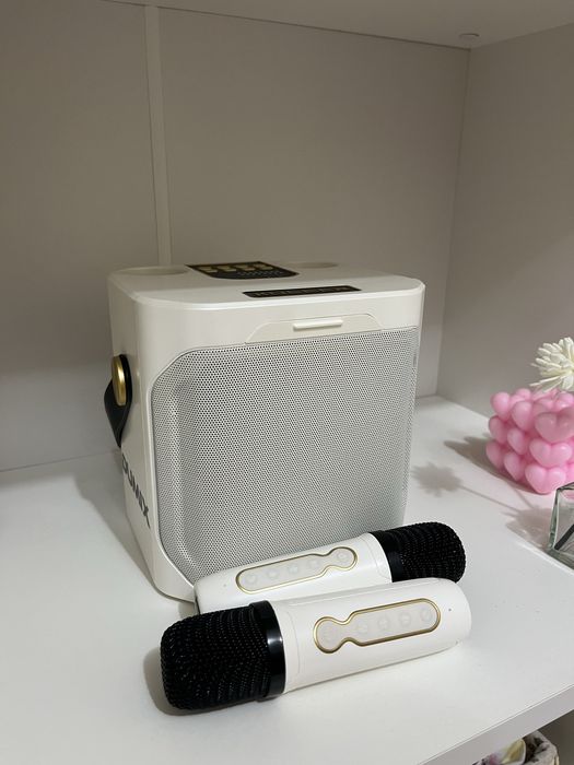 Колонка с микрофоном