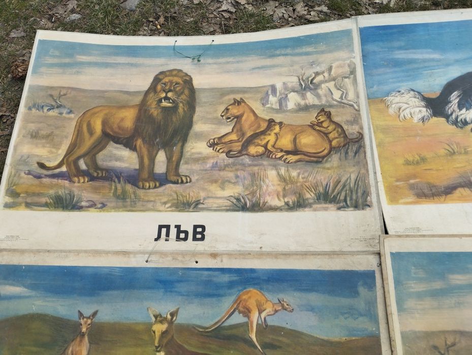 Стари учебни пана