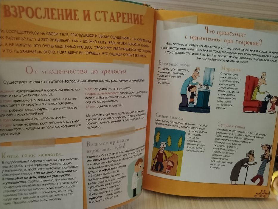 Суперкнига о теле человека