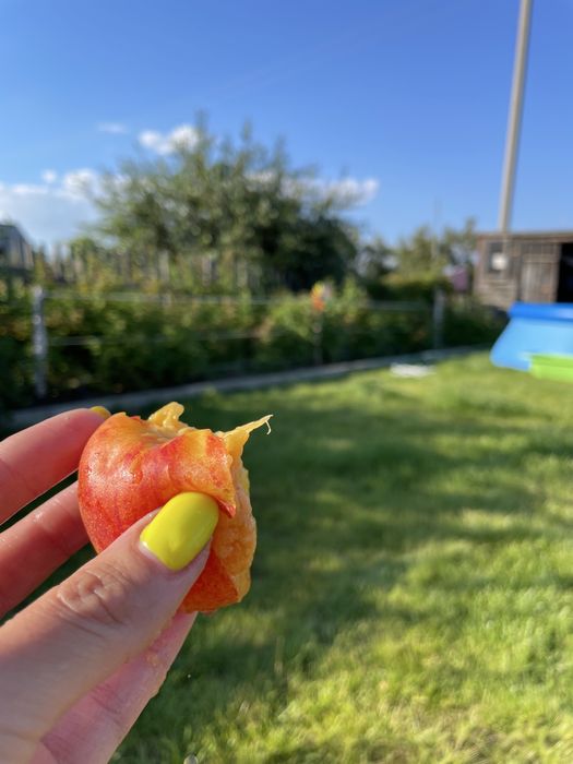 Продам дачу в СО Дархан