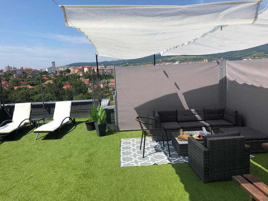 Penthouse Anghel Saligny