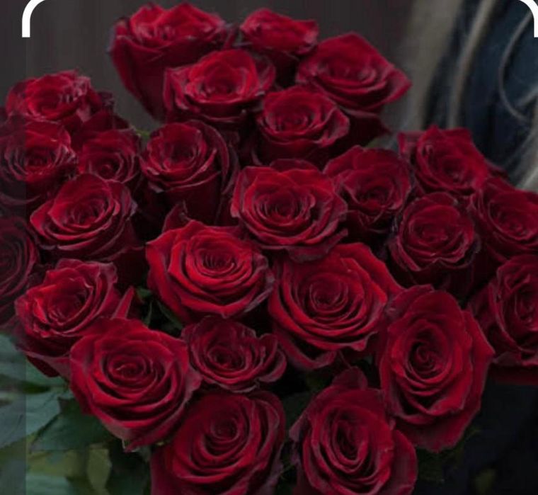 Доставка цветов Гулдер