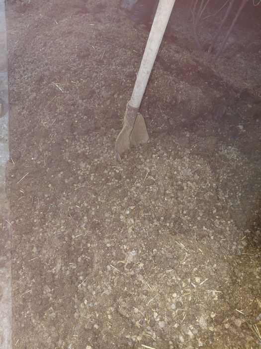 Poru goʻspand quy goʻngi tabiiy oʻgʻit qopi 35 ming soʻm