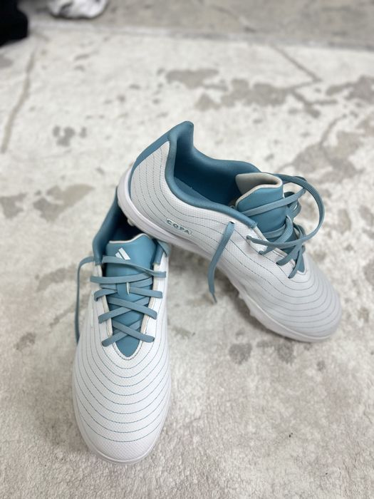 Оригинал сороконожка