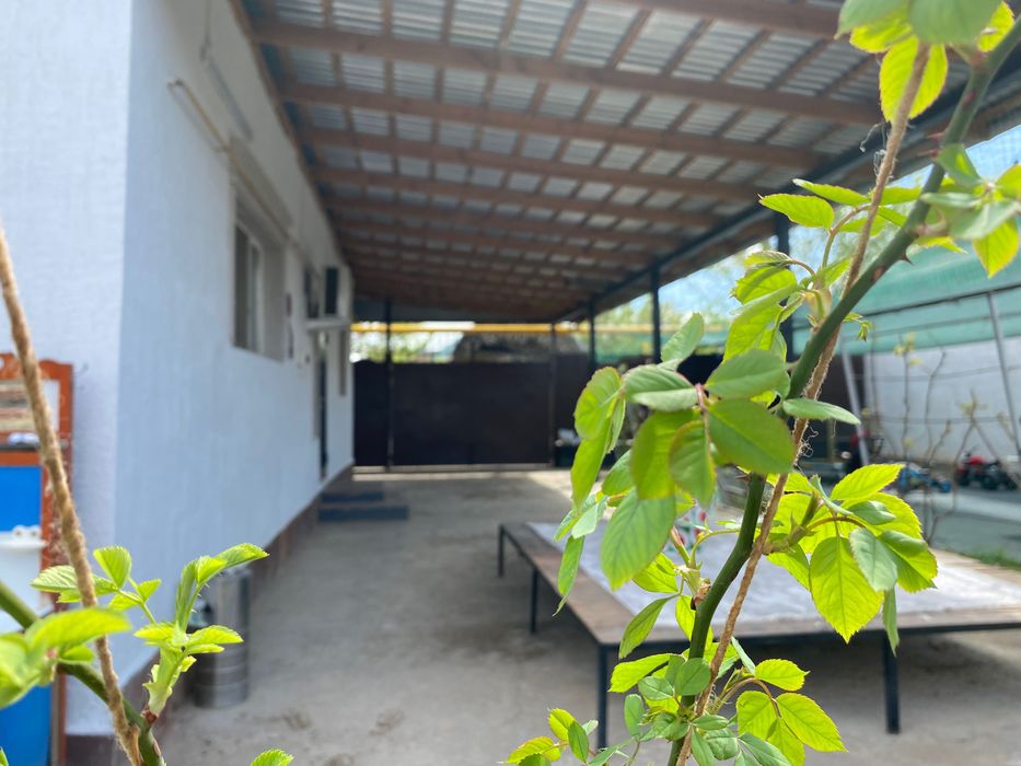 Дом, в котором живет счастье