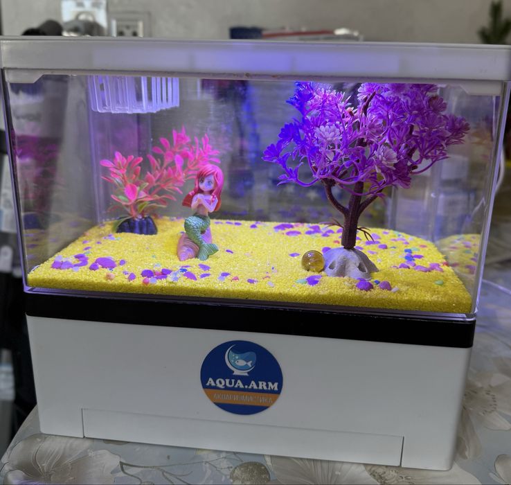 Аквариум для рыб