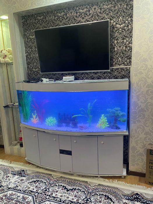 Akvarium 500 litrlik 1.70 uzunligi New