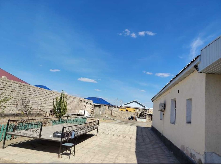 Үй жақсы таза ауласын да жеміс ағашы бар