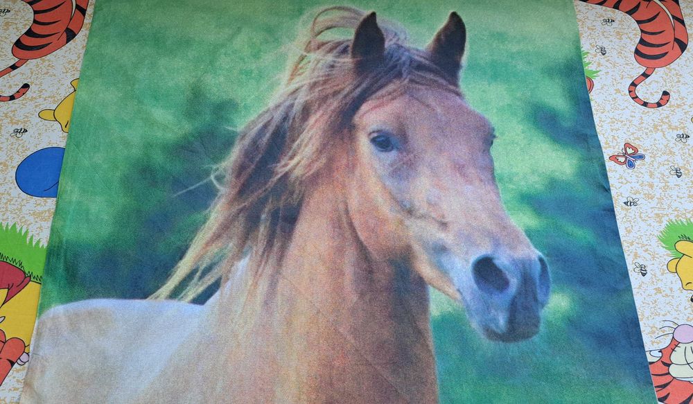 НОВА Калъфка за възглавница (100% памук ранфорс)-70/80 см